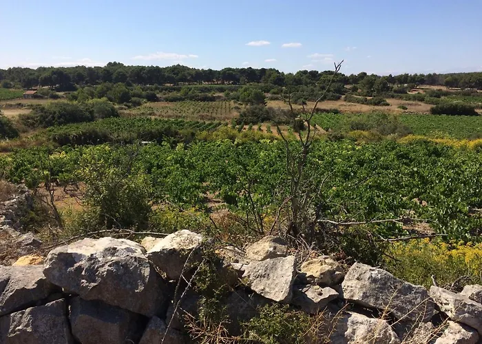 Les Drom's * Gruissan